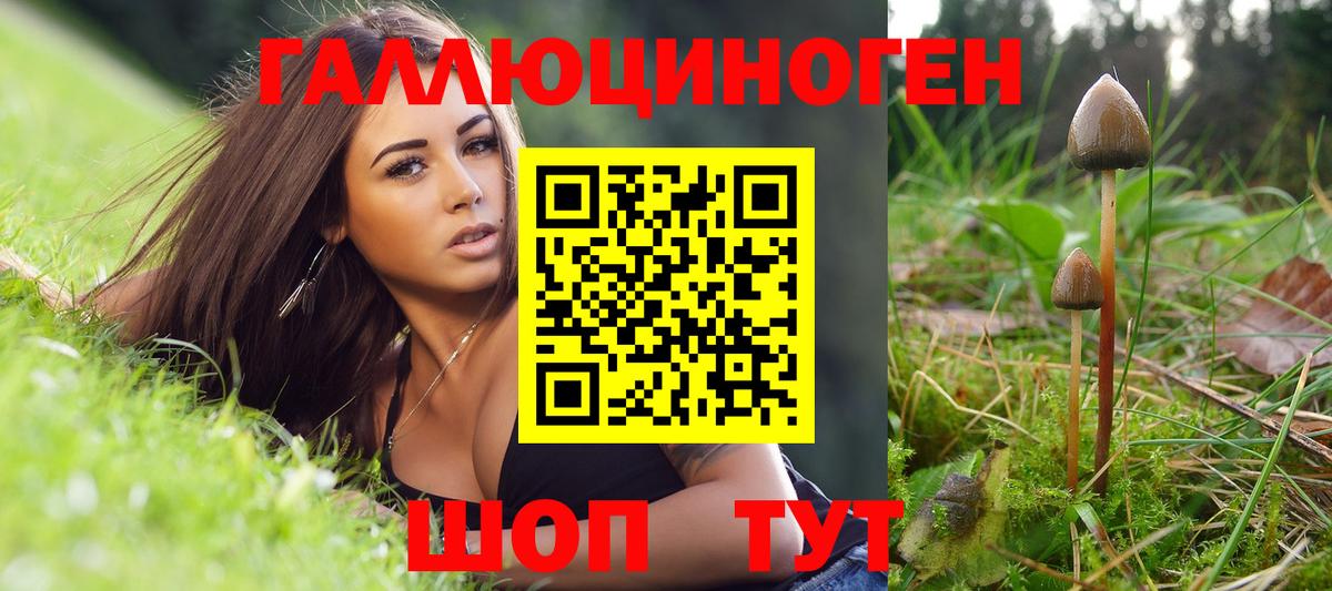 Псилоцибиновые грибы ЛСД Среднеуральск