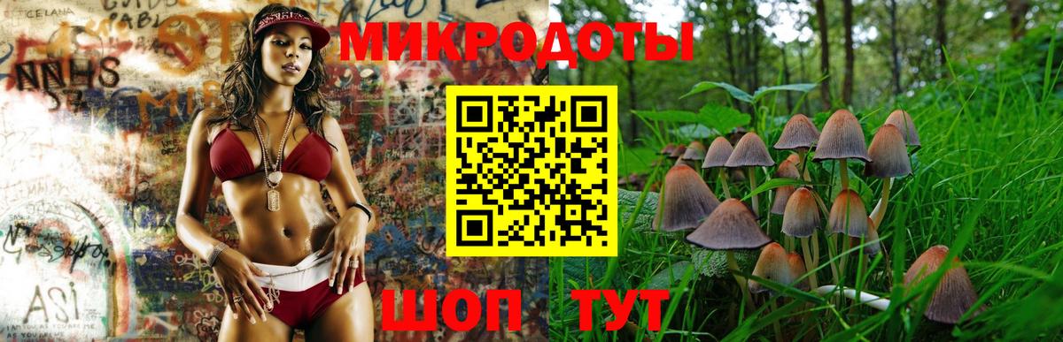 Галлюциногенные грибы MAGIC MUSHROOMS  Вход с VPN  Среднеуральск 
